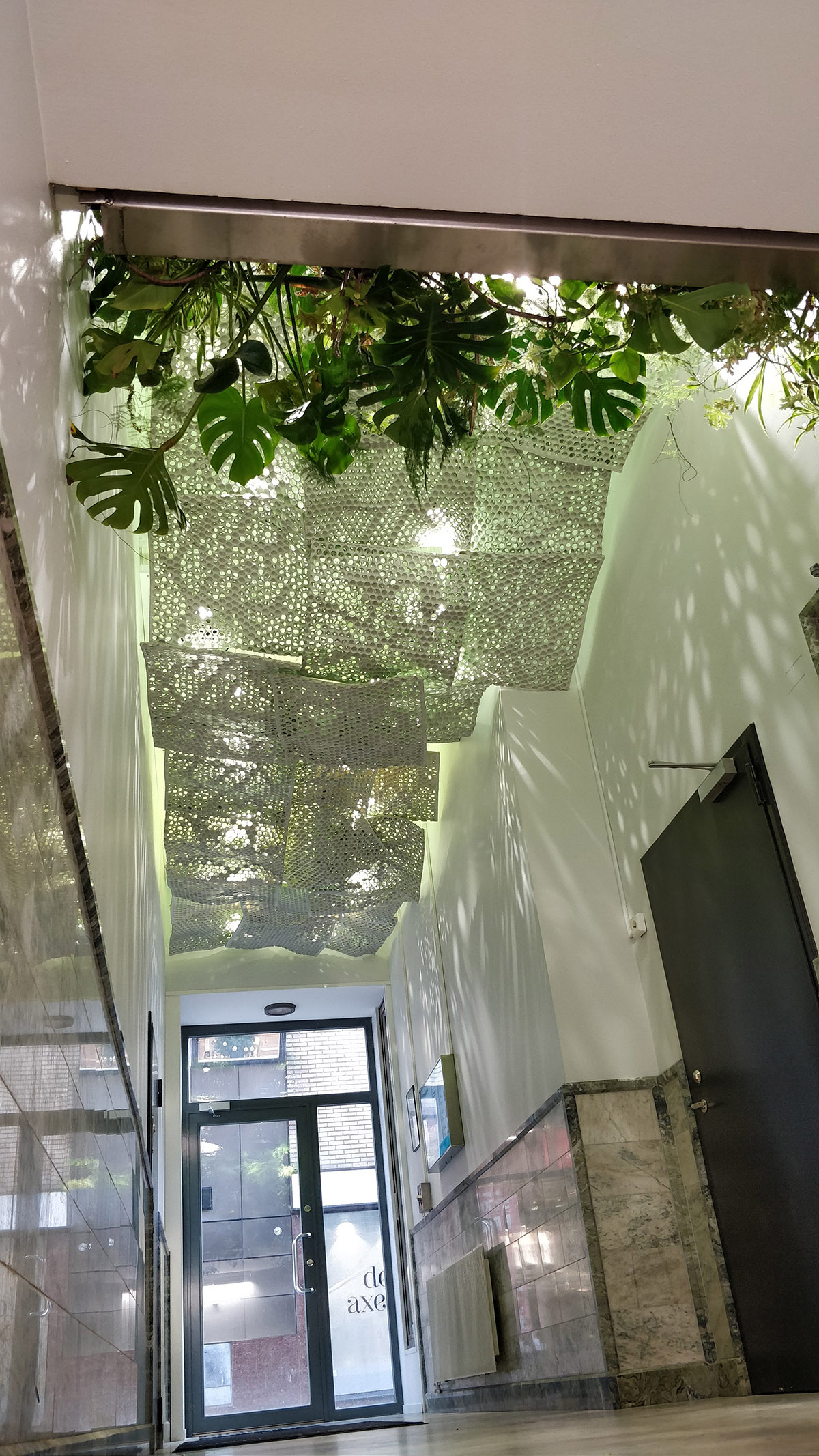 Suspended ceiling from Butong in organic form that mimics a tree crown