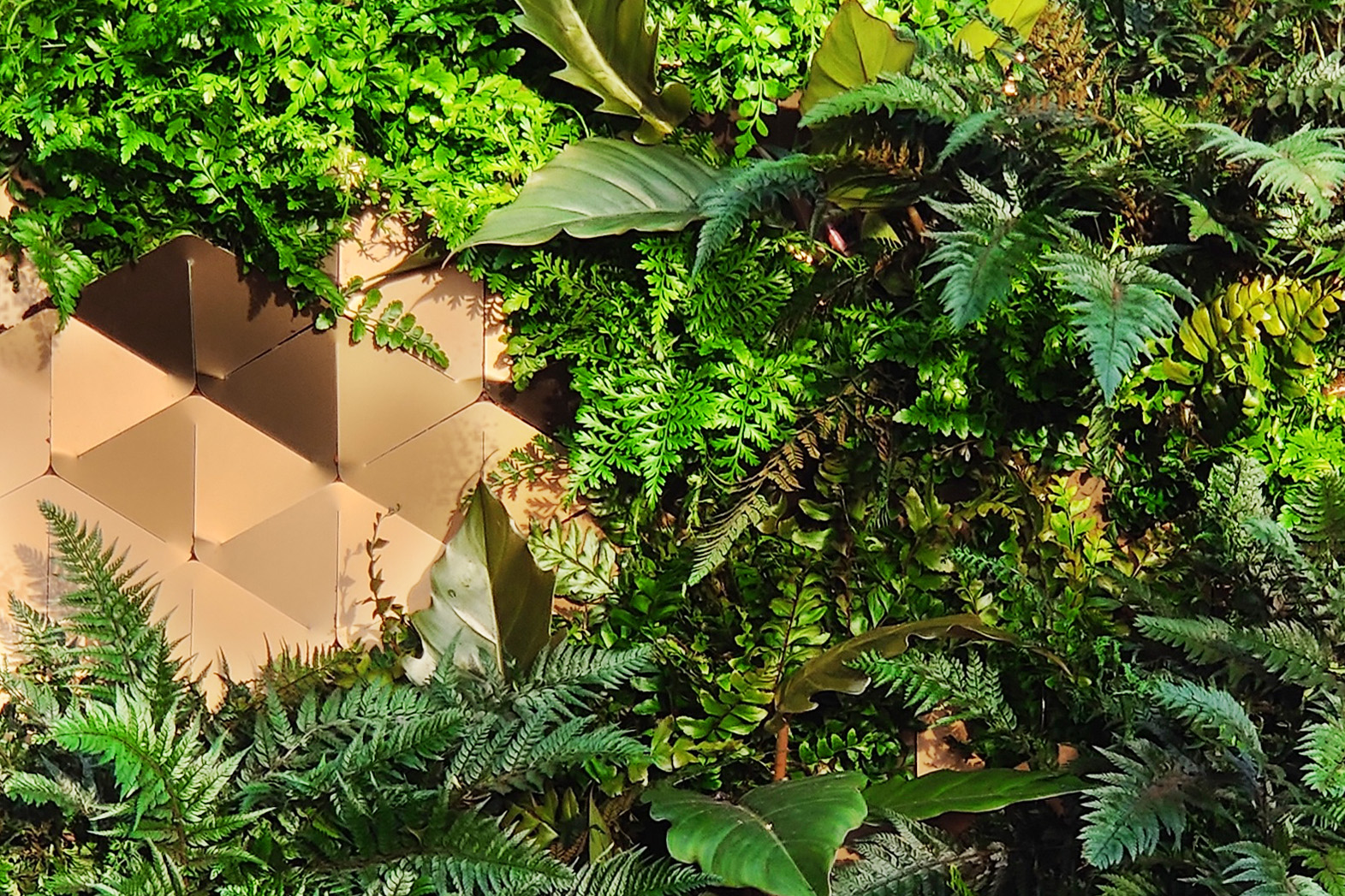 Butong acoustic wall panels in concrete is durable and sustainable