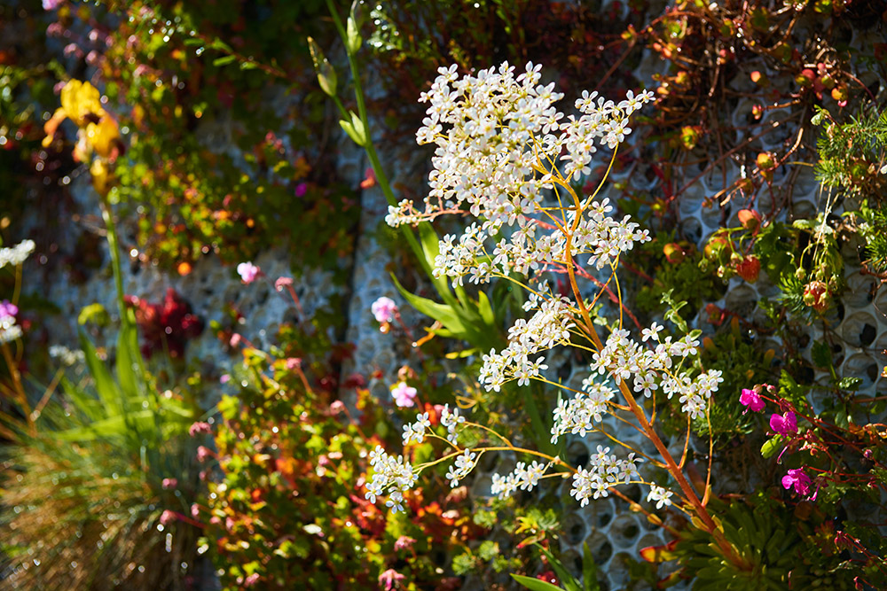 Green facades by Butong made from sustainable concrete panels
