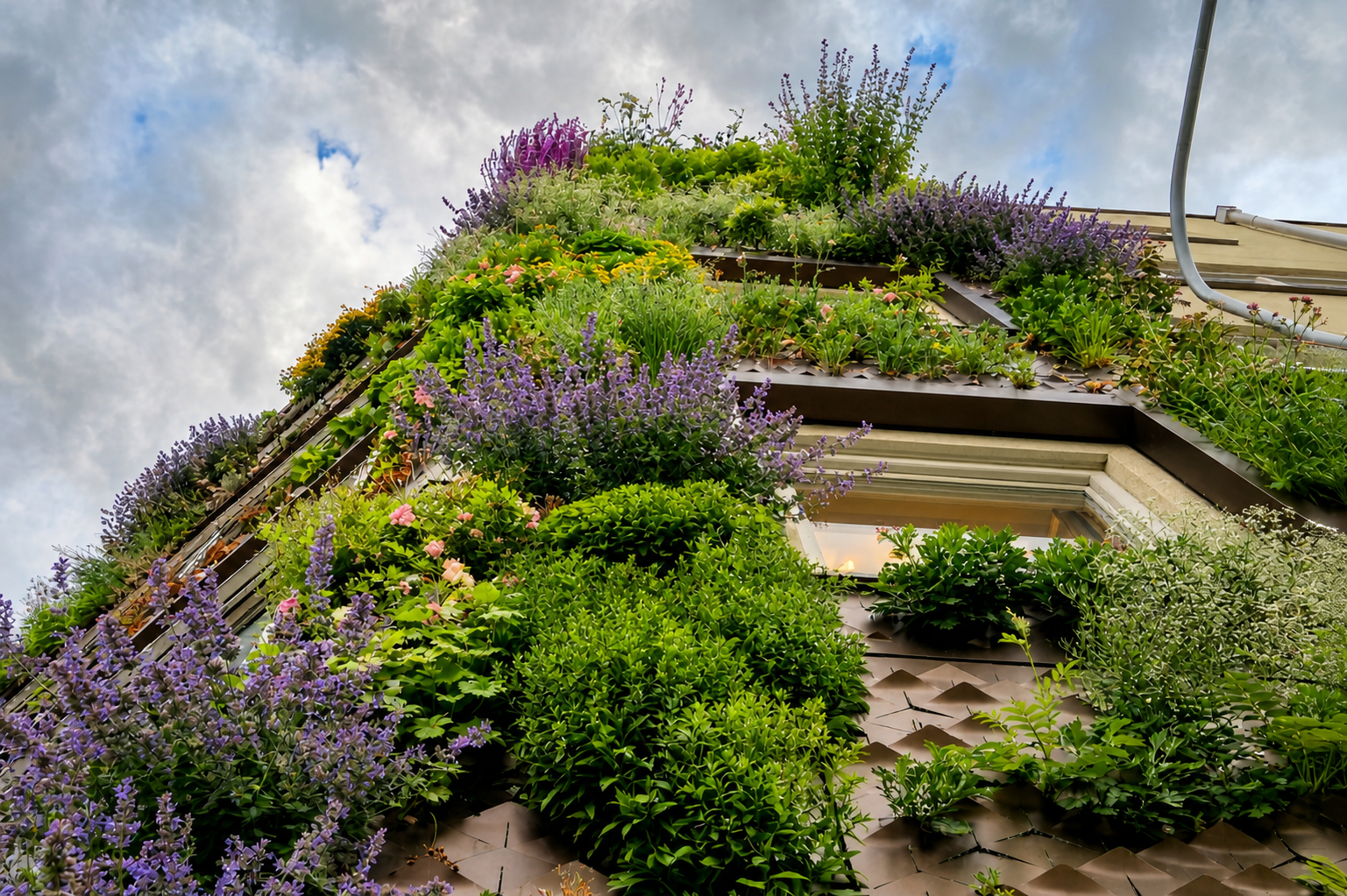 Green facades, plant walls and acoustic panels from Butong AB – Stockholm and Paris, delivered  world wide